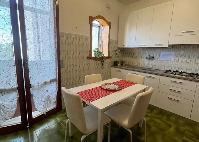 L'orchidea Pisa