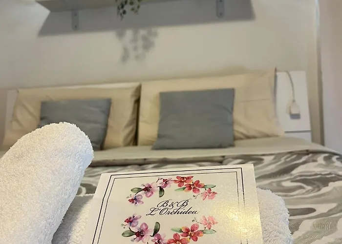 L'orchidea