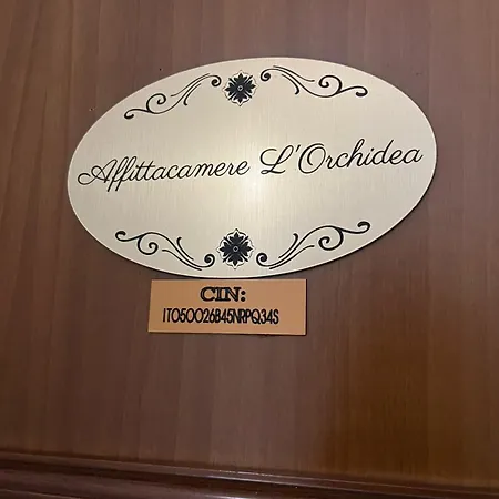 L'orchidea Bed & Breakfast Pisa