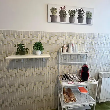 Bed & Breakfast L'orchidea