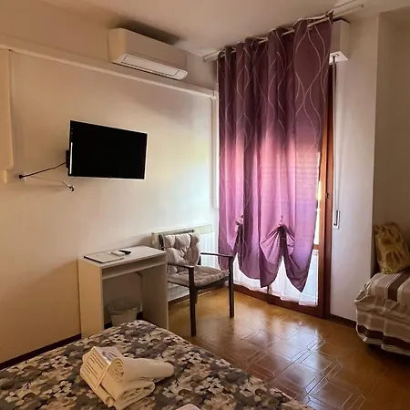 L'orchidea Pisa