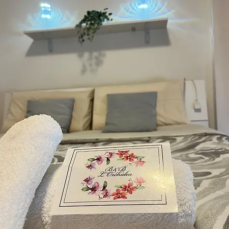 L'orchidea