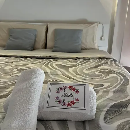 L'orchidea Bed & Breakfast Pisa