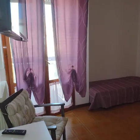 L'orchidea Pisa
