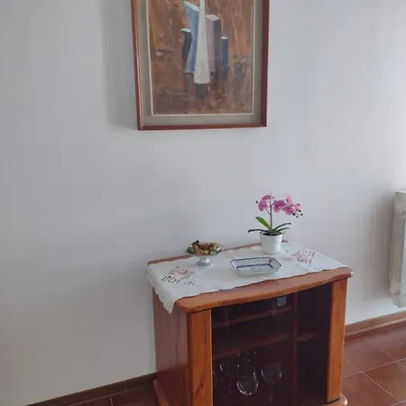 L'orchidea