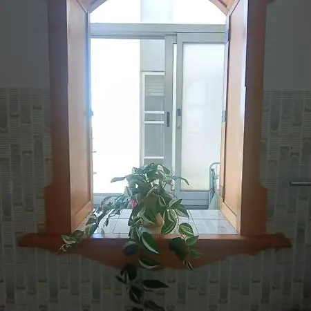 L'orchidea Pisa