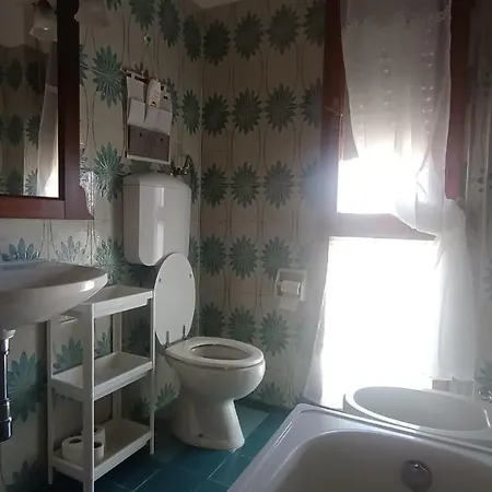 Bed & Breakfast L'orchidea Pisa