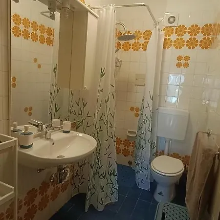 L'orchidea Pisa